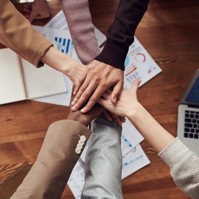Client partnership